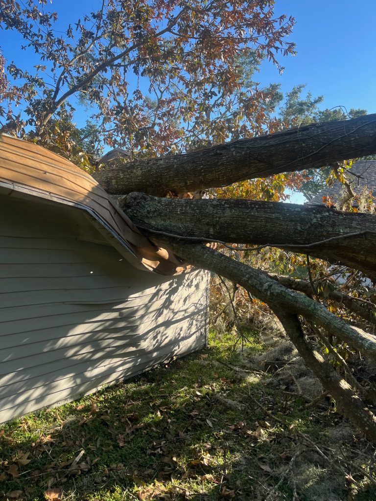 Prevent disaster with SES Tree Services: Expert tree care in Atlanta, GA to safeguard homes from fallen trees.