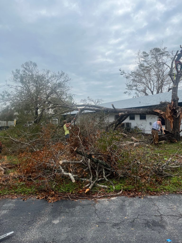 Emergency tree removal in Atlanta, Georgia - SES Tree Services is here to address trees on houses promptly and efficiently